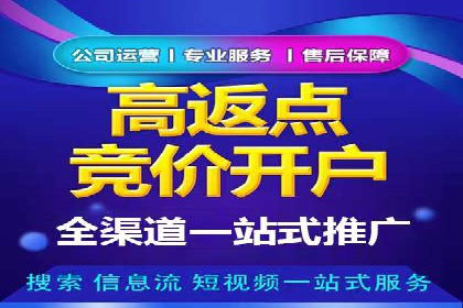 SEM竞价代运营：案例展示广告投放优化技巧