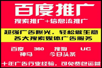 某电商平台的SEM推广实践与效果展示